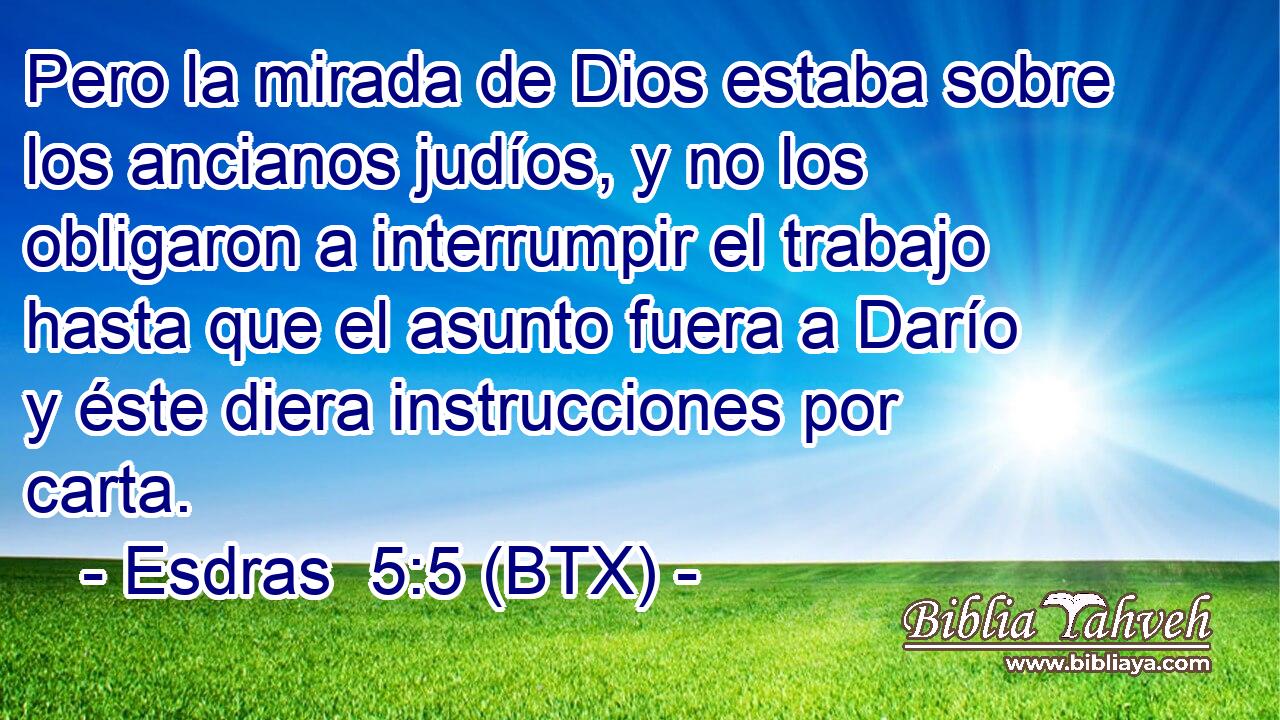 Pero la mirada de Dios estaba sobre los ancianos judíos, y no los obligaron a interrumpir el trabajo hasta que el asunto fuera a Darío y éste diera instrucciones por carta.