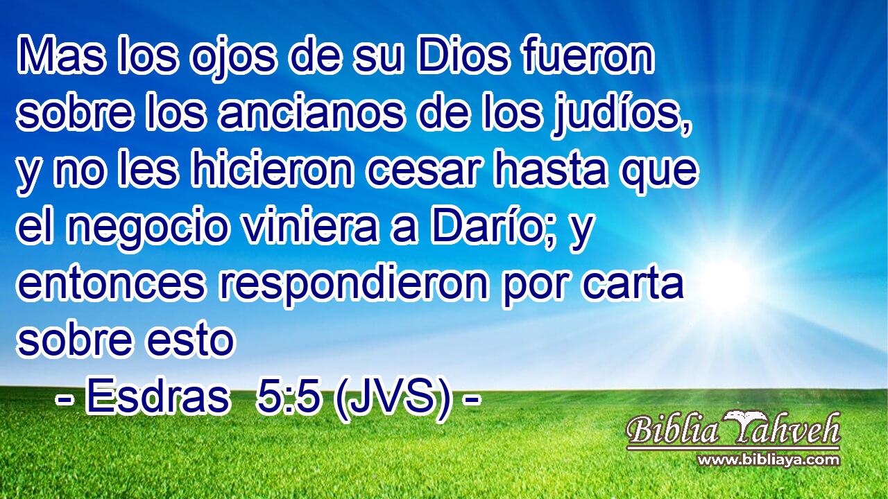 Mas los ojos de su Dios fueron sobre los ancianos de los judíos, y no les hicieron cesar hasta que el negocio viniera a Darío; y entonces respondieron por carta sobre esto
