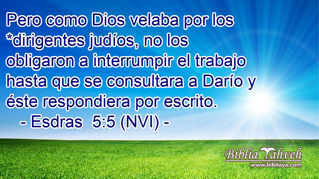  Pero como Dios velaba por los *dirigentes judíos, no los obligaron a interrumpir el trabajo hasta que se consultara a Darío y éste respondiera por escrito. 