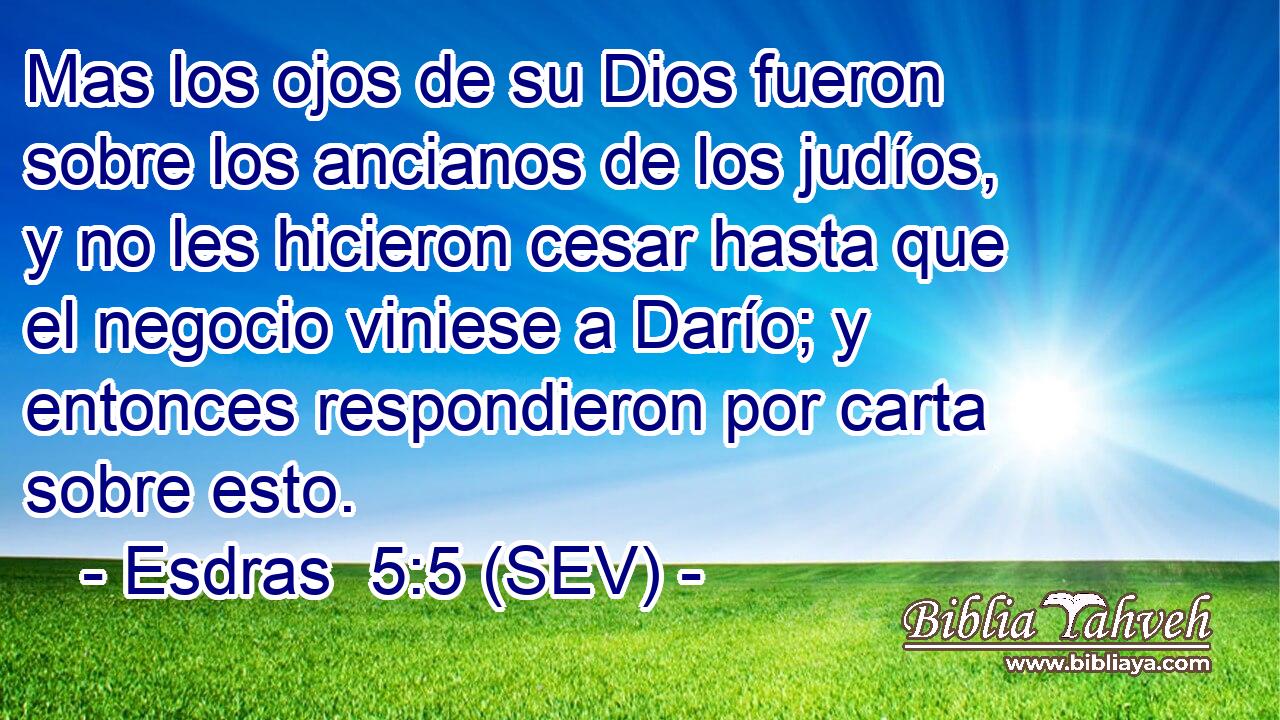 Mas los ojos de su Dios fueron sobre los ancianos de los judíos, y no les hicieron cesar hasta que el negocio viniese a Darío; y entonces respondieron por carta sobre esto.