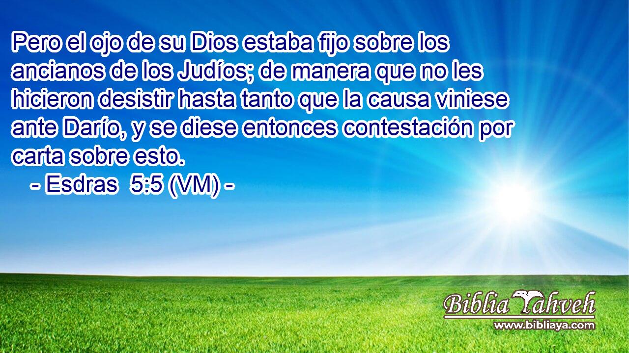  Pero el ojo de su Dios estaba fijo sobre los ancianos de los Judíos; de manera que no les hicieron desistir hasta tanto que la causa viniese ante Darío, y se diese entonces contestación por carta sobre esto. 