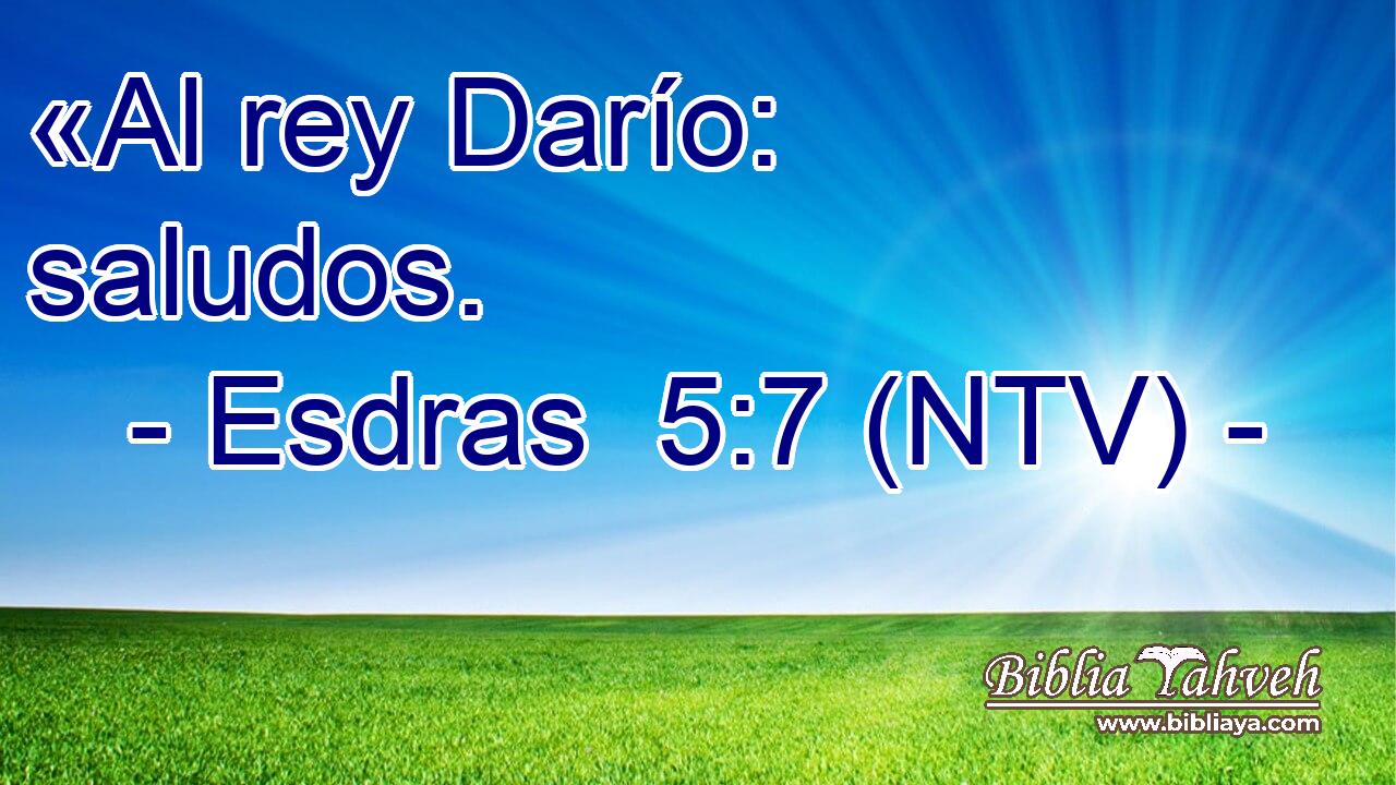 «Al rey Darío: saludos.