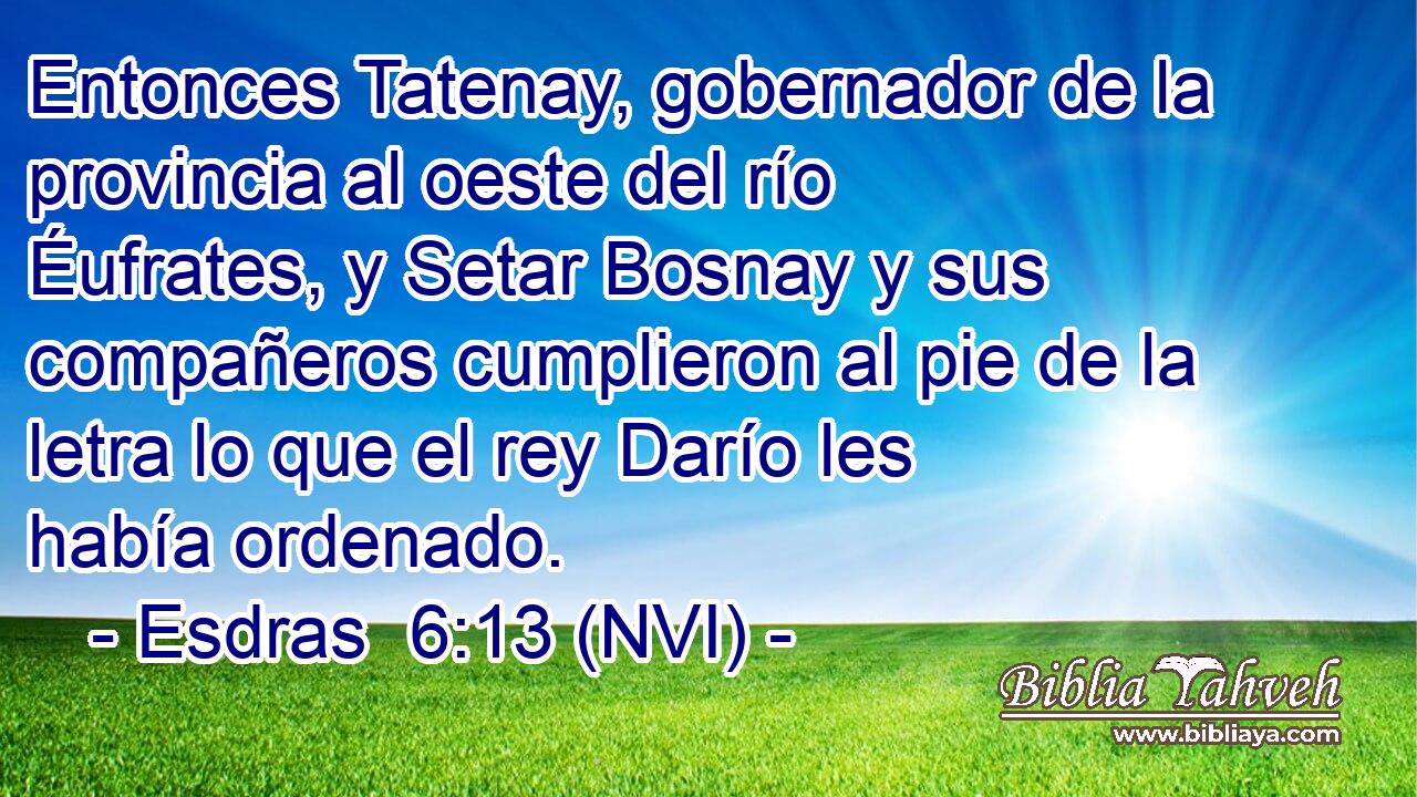  Entonces Tatenay, gobernador de la provincia al oeste del río Éufrates, y Setar Bosnay y sus compañeros cumplieron al pie de la letra lo que el rey Darío les había ordenado. 