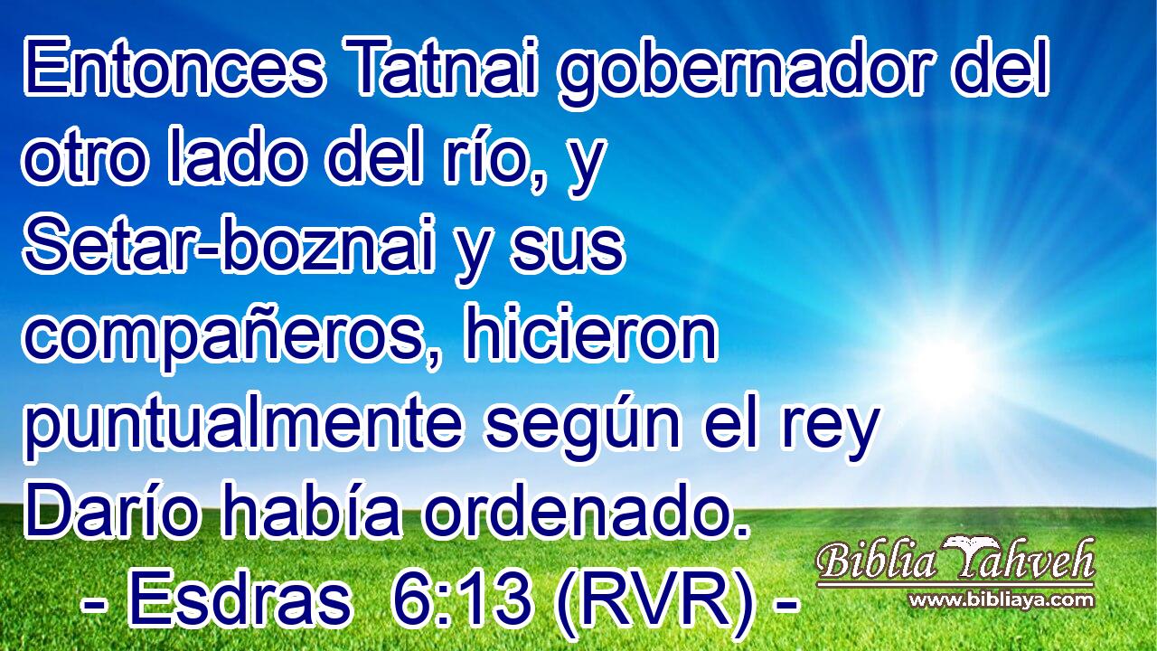 Entonces Tatnai gobernador del otro lado del río, y Setar-boznai y sus compañeros, hicieron puntualmente según el rey Darío había ordenado.