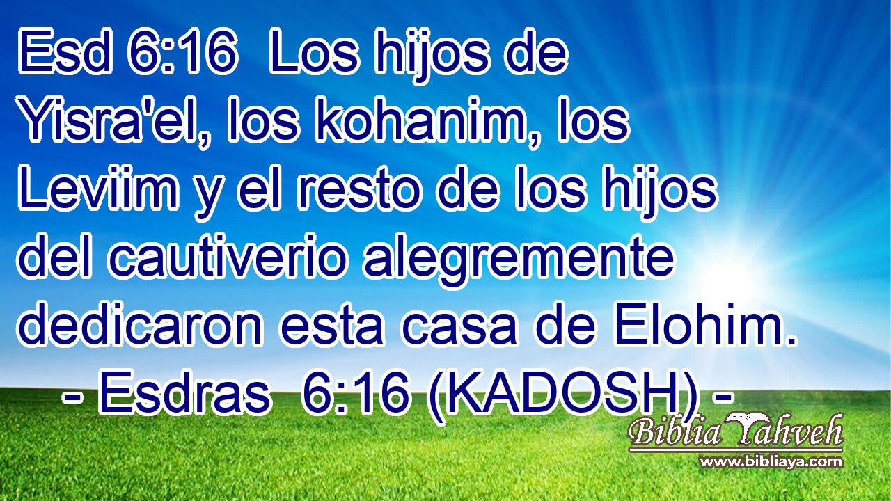  Los hijos de Yisra'el, los kohanim, los Leviim y el resto de los hijos del cautiverio alegremente dedicaron esta casa de Elohim. 