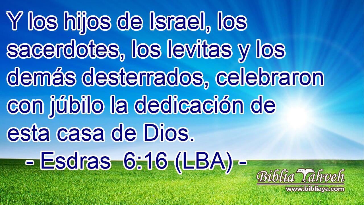 Y los hijos de Israel, los sacerdotes, los levitas y los demás desterrados, celebraron con júbilo la dedicación de esta casa de Dios.