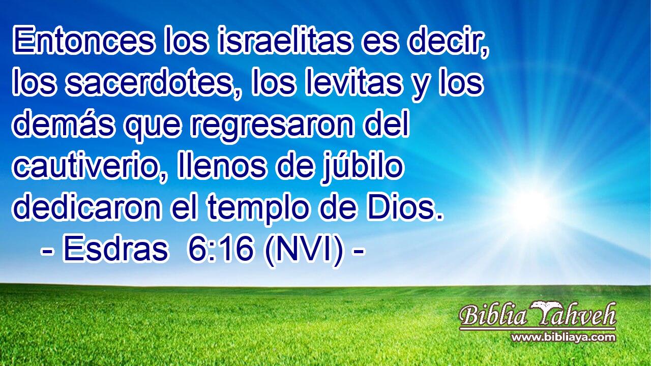  Entonces los israelitas es decir, los sacerdotes, los levitas y los demás que regresaron del cautiverio, llenos de júbilo dedicaron el templo de Dios. 