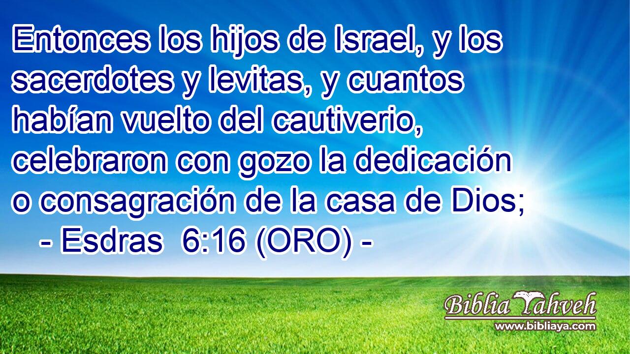  Entonces los hijos de Israel, y los sacerdotes y levitas, y cuantos habían vuelto del cautiverio, celebraron con gozo la dedicación o consagración de la casa de Dios; 