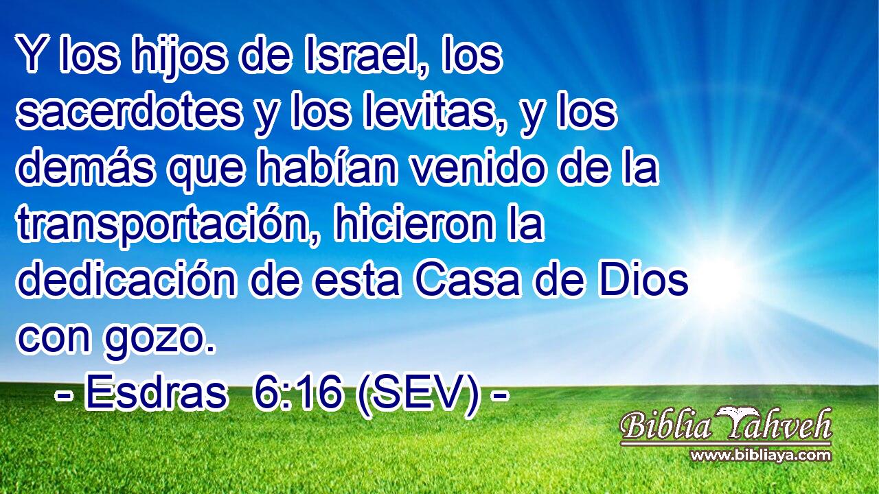 Y los hijos de Israel, los sacerdotes y los levitas, y los demás que habían venido de la transportación, hicieron la dedicación de esta Casa de Dios con gozo.