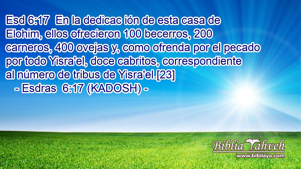  En la dedicac ión de esta casa de Elohim, ellos ofrecieron 100 becerros, 200 carneros, 400 ovejas y, como ofrenda por el pecado por todo Yisra'el, doce cabritos, correspondiente al número de tribus de Yisra'el.[23] 