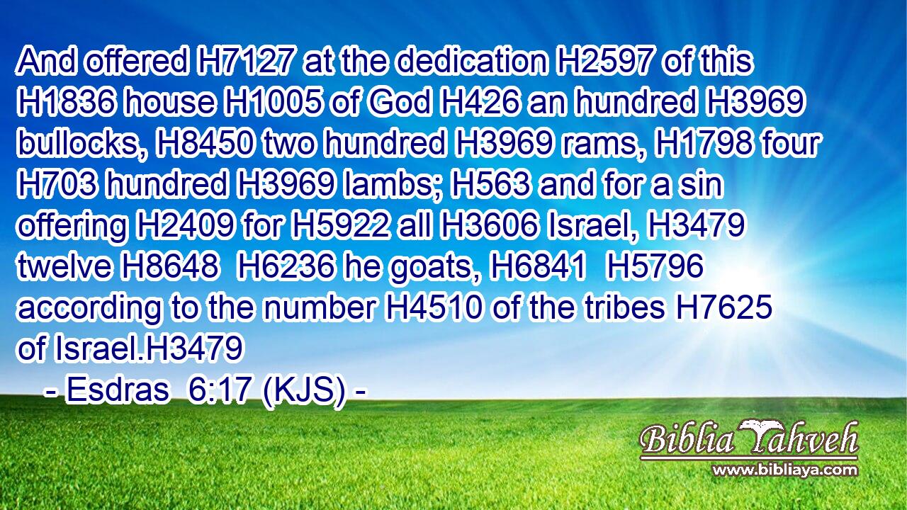 And offered H7127 at the dedication H2597 of this H1836 house H1005 of God H426 an hundred H3969 bullocks, H8450 two hundred H3969 rams, H1798 four H703 hundred H3969 lambs; H563 and for a sin offering H2409 for H5922 all H3606 Israel, H3479 twelve H8648  H6236 he goats, H6841  H5796 according to the number H4510 of the tribes H7625 of Israel.H3479