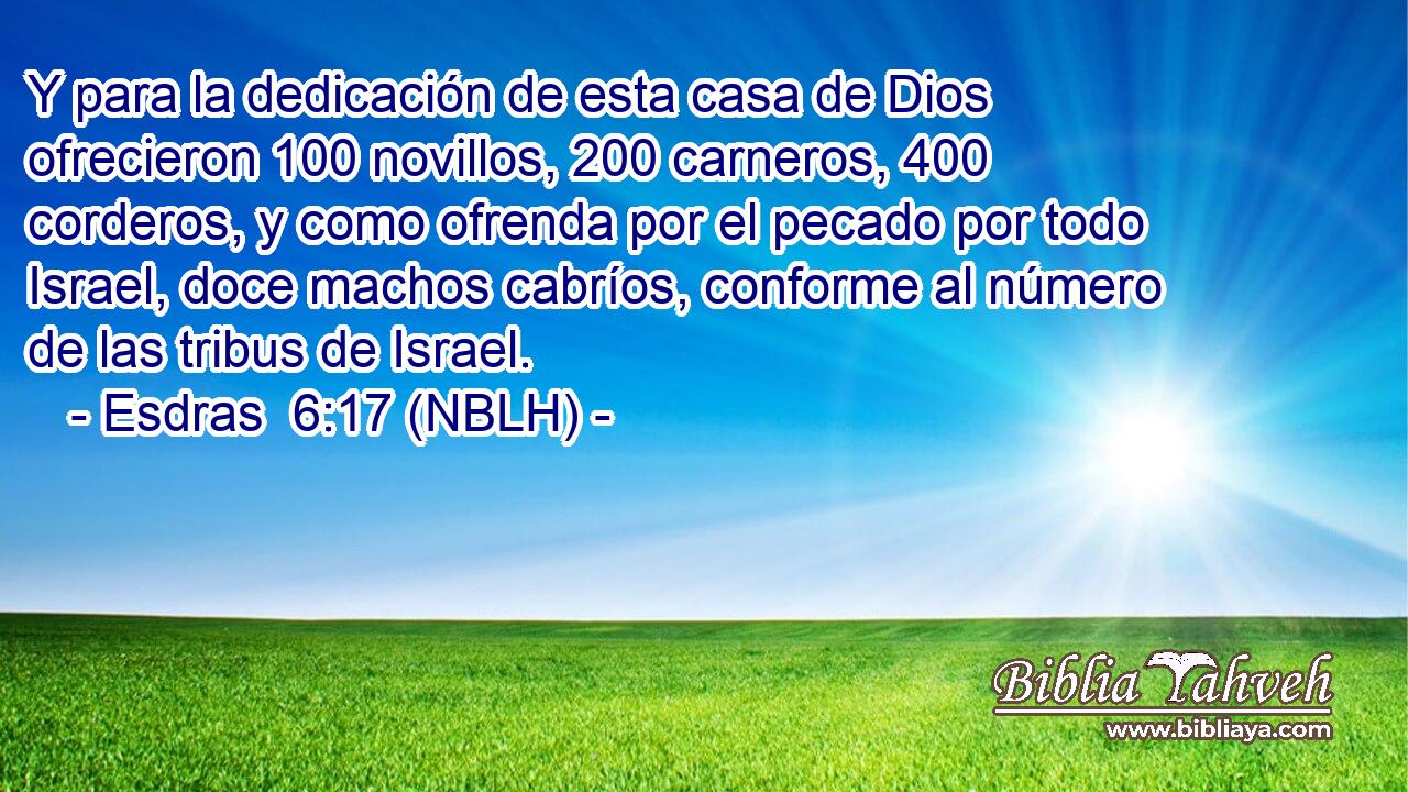  Y para la dedicación de esta casa de Dios ofrecieron 100 novillos, 200 carneros, 400 corderos, y como ofrenda por el pecado por todo Israel, doce machos cabríos, conforme al número de las tribus de Israel. 