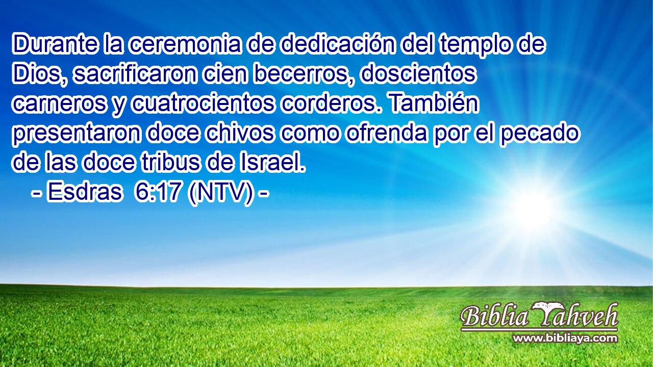 Durante la ceremonia de dedicación del templo de Dios, sacrificaron cien becerros, doscientos carneros y cuatrocientos corderos. También presentaron doce chivos como ofrenda por el pecado de las doce tribus de Israel.