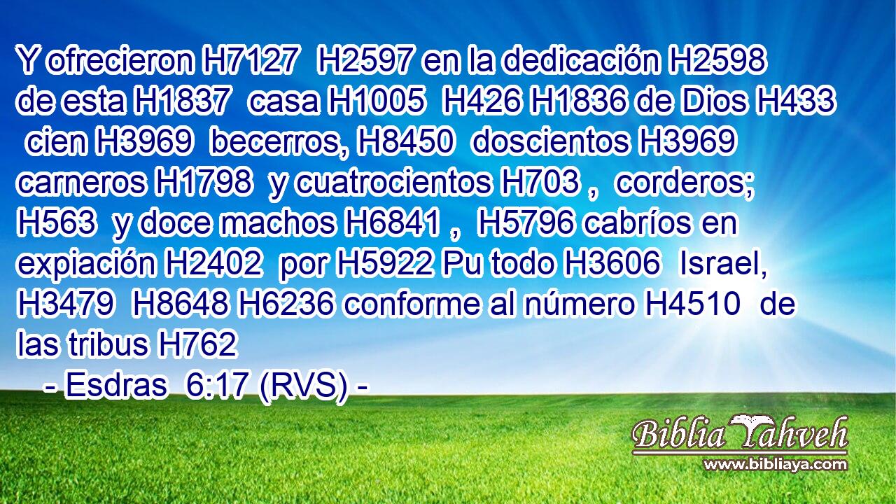 Y ofrecieron H7127  H2597 en la dedicación H2598  de esta H1837  casa H1005  H426 H1836 de Dios H433  cien H3969  becerros, H8450  doscientos H3969  carneros H1798  y cuatrocientos H703 ,  corderos; H563  y doce machos H6841 ,  H5796 cabríos en expiación H2402  por H5922 Pu todo H3606  Israel, H3479  H8648 H6236 conforme al número H4510  de las tribus H762