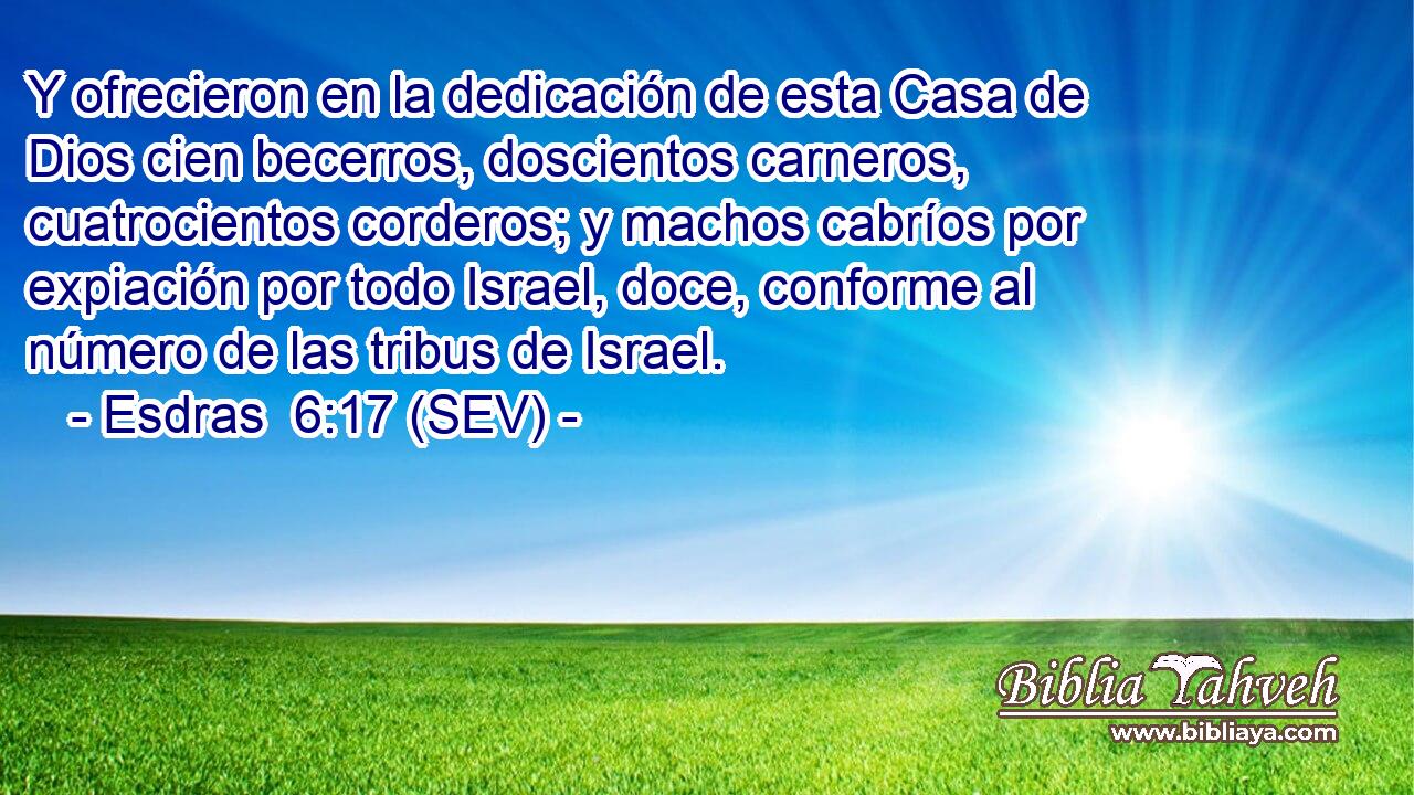 Y ofrecieron en la dedicación de esta Casa de Dios cien becerros, doscientos carneros, cuatrocientos corderos; y machos cabríos por expiación por todo Israel, doce, conforme al número de las tribus de Israel.