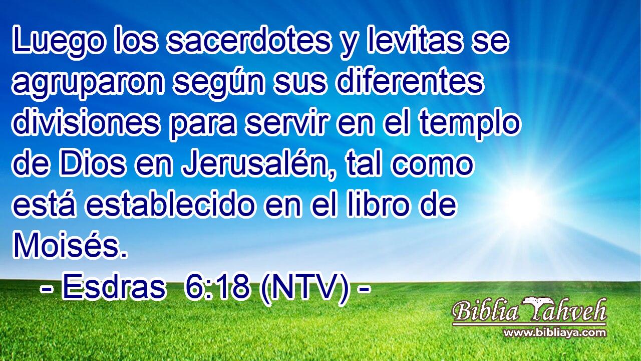 Luego los sacerdotes y levitas se agruparon según sus diferentes divisiones para servir en el templo de Dios en Jerusalén, tal como está establecido en el libro de Moisés.