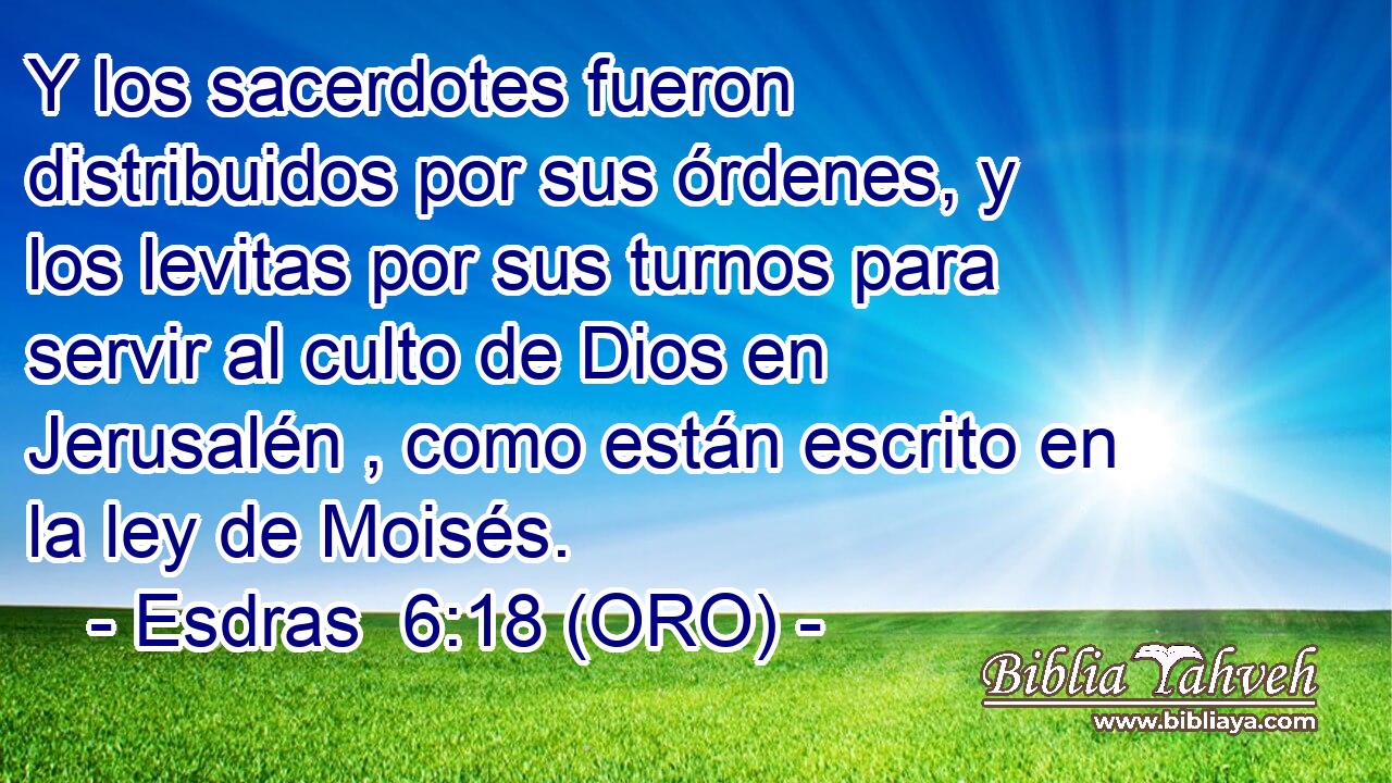  Y los sacerdotes fueron distribuidos por sus órdenes, y los levitas por sus turnos para servir al culto de Dios en Jerusalén , como están escrito en la ley de Moisés. 