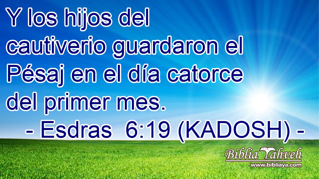 Y los hijos del cautiverio guardaron el Pésaj en el día catorce del primer mes. 