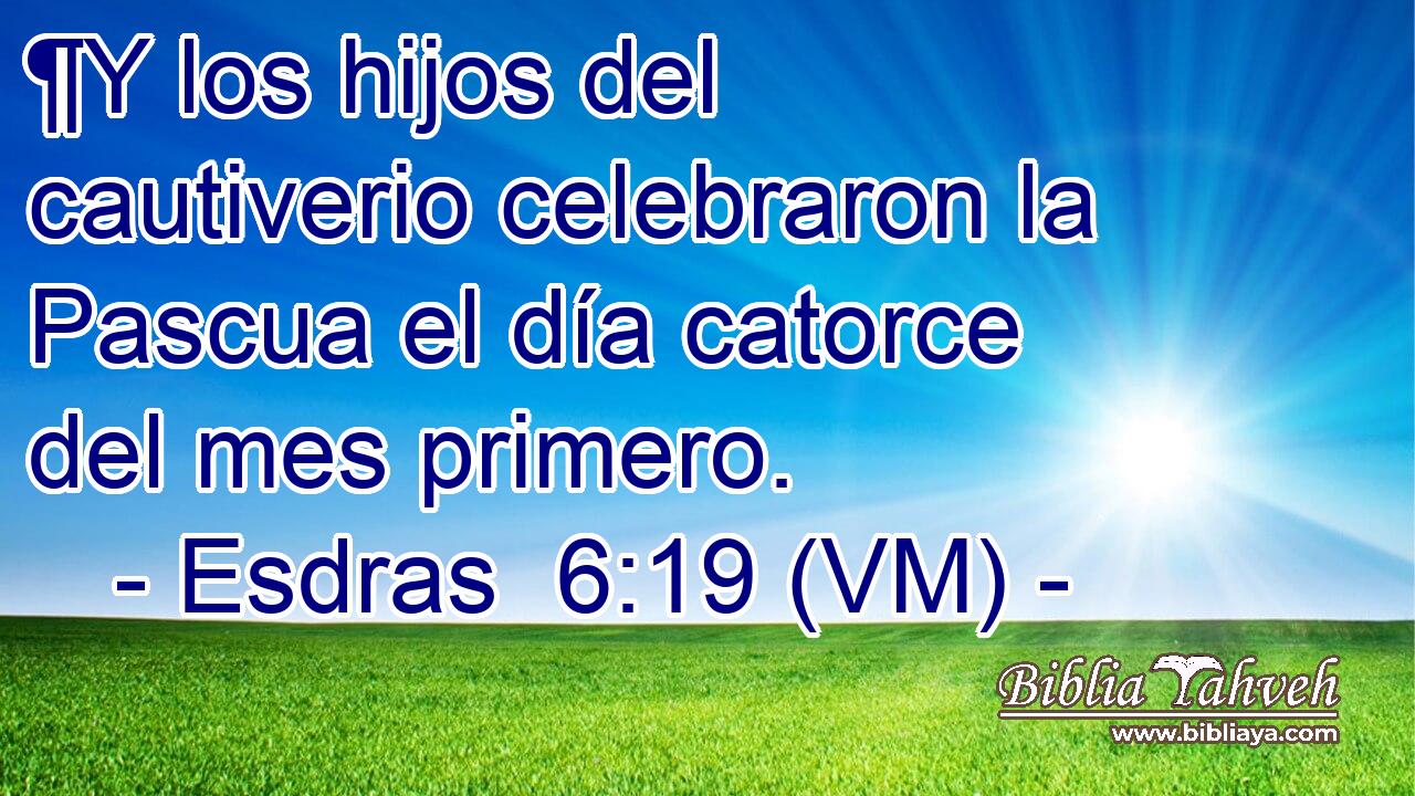  ¶Y los hijos del cautiverio celebraron la Pascua el día catorce del mes primero. 