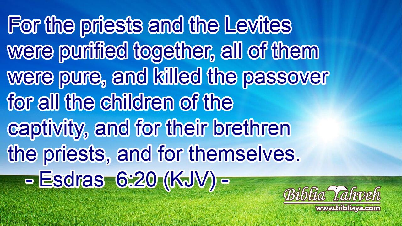 For the priests and the Levites were purified together, all of them were pure, and killed the passover for all the children of the captivity, and for their brethren the priests, and for themselves.
