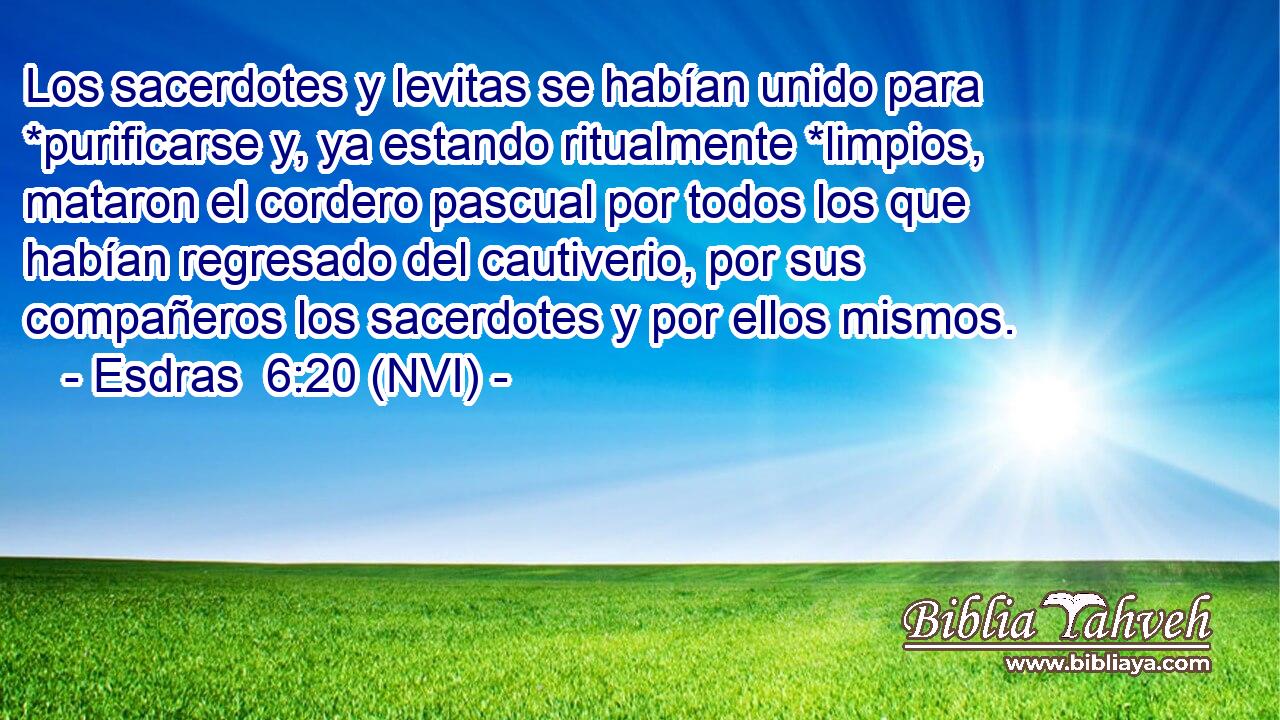  Los sacerdotes y levitas se habían unido para *purificarse y, ya estando ritualmente *limpios, mataron el cordero pascual por todos los que habían regresado del cautiverio, por sus compañeros los sacerdotes y por ellos mismos. 