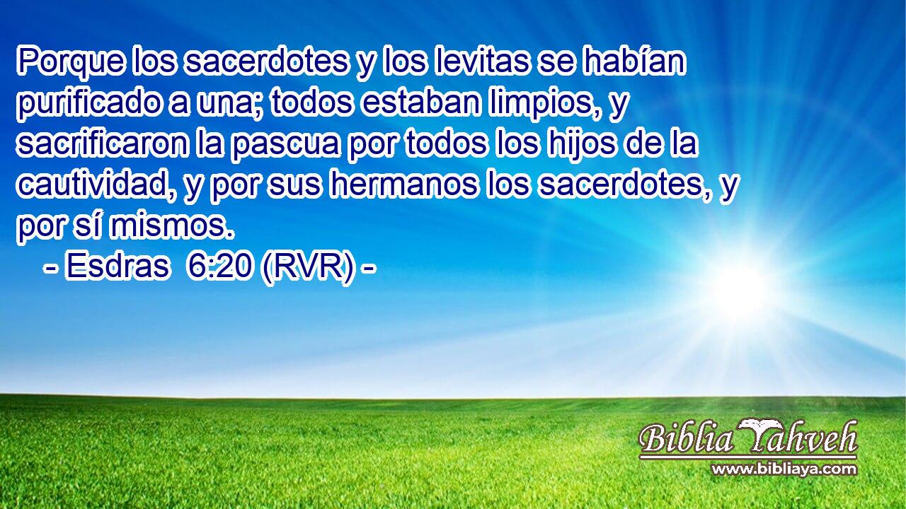 Porque los sacerdotes y los levitas se habían purificado a una; todos estaban limpios, y sacrificaron la pascua por todos los hijos de la cautividad, y por sus hermanos los sacerdotes, y por sí mismos.