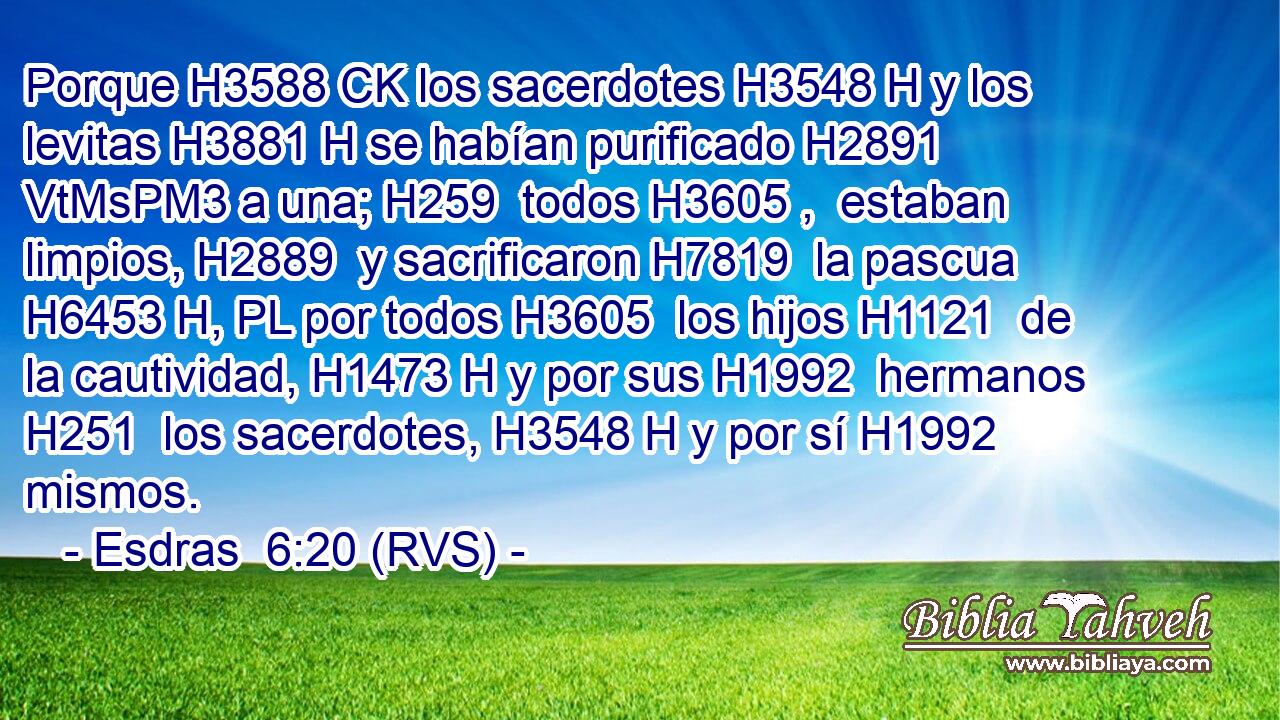 Porque H3588 CK los sacerdotes H3548 H y los levitas H3881 H se habían purificado H2891 VtMsPM3 a una; H259  todos H3605 ,  estaban limpios, H2889  y sacrificaron H7819  la pascua H6453 H, PL por todos H3605  los hijos H1121  de la cautividad, H1473 H y por sus H1992  hermanos H251  los sacerdotes, H3548 H y por sí H1992  mismos. 