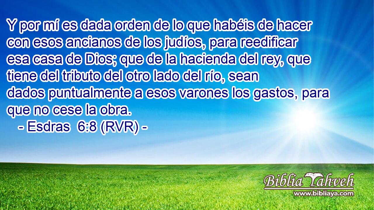 Y por mí es dada orden de lo que habéis de hacer con esos ancianos de los judíos, para reedificar esa casa de Dios; que de la hacienda del rey, que tiene del tributo del otro lado del río, sean dados puntualmente a esos varones los gastos, para que no cese la obra.