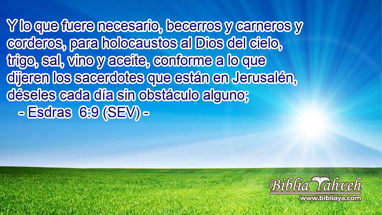 Y lo que fuere necesario, becerros y carneros y corderos, para holocaustos al Dios del cielo, trigo, sal, vino y aceite, conforme a lo que dijeren los sacerdotes que están en Jerusalén, déseles cada día sin obstáculo alguno;