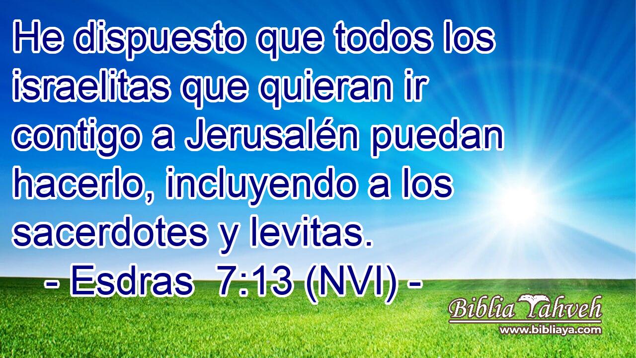  He dispuesto que todos los israelitas que quieran ir contigo a Jerusalén puedan hacerlo, incluyendo a los sacerdotes y levitas. 