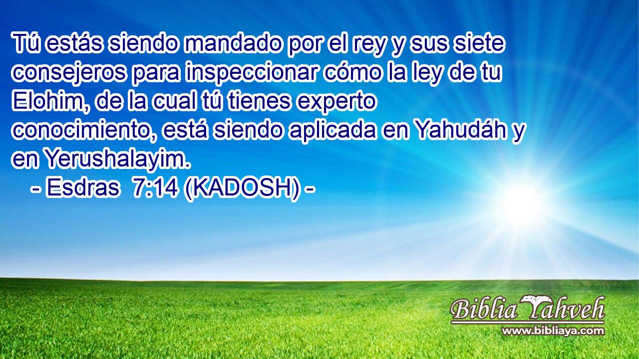  Tú estás siendo mandado por el rey y sus siete consejeros para inspeccionar cómo la ley de tu Elohim, de la cual tú tienes experto conocimiento, está siendo aplicada en Yahudáh y en Yerushalayim. 