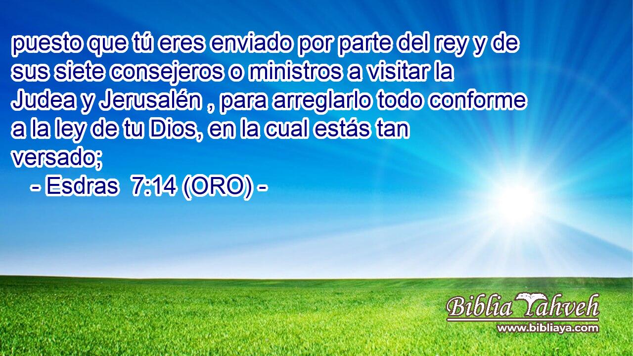  puesto que tú eres enviado por parte del rey y de sus siete consejeros o ministros a visitar la Judea y Jerusalén , para arreglarlo todo conforme a la ley de tu Dios, en la cual estás tan versado; 