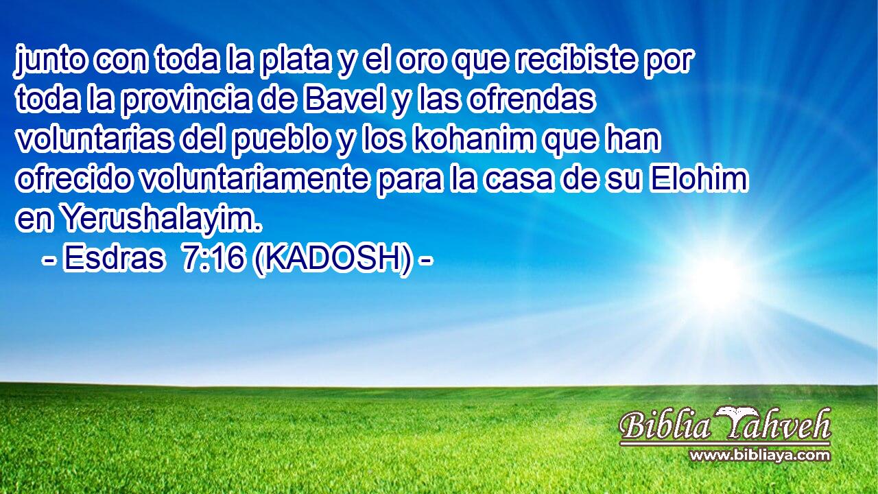  junto con toda la plata y el oro que recibiste por toda la provincia de Bavel y las ofrendas voluntarias del pueblo y los kohanim que han ofrecido voluntariamente para la casa de su Elohim en Yerushalayim. 