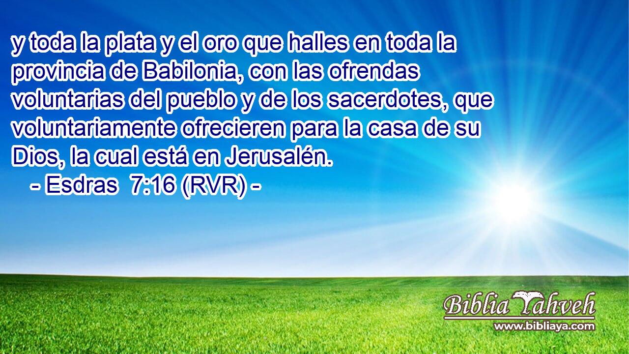 y toda la plata y el oro que halles en toda la provincia de Babilonia, con las ofrendas voluntarias del pueblo y de los sacerdotes, que voluntariamente ofrecieren para la casa de su Dios, la cual está en Jerusalén.