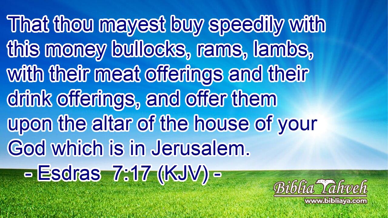 That thou mayest buy speedily with this money bullocks, rams, lambs, with their meat offerings and their drink offerings, and offer them upon the altar of the house of your God which is in Jerusalem.