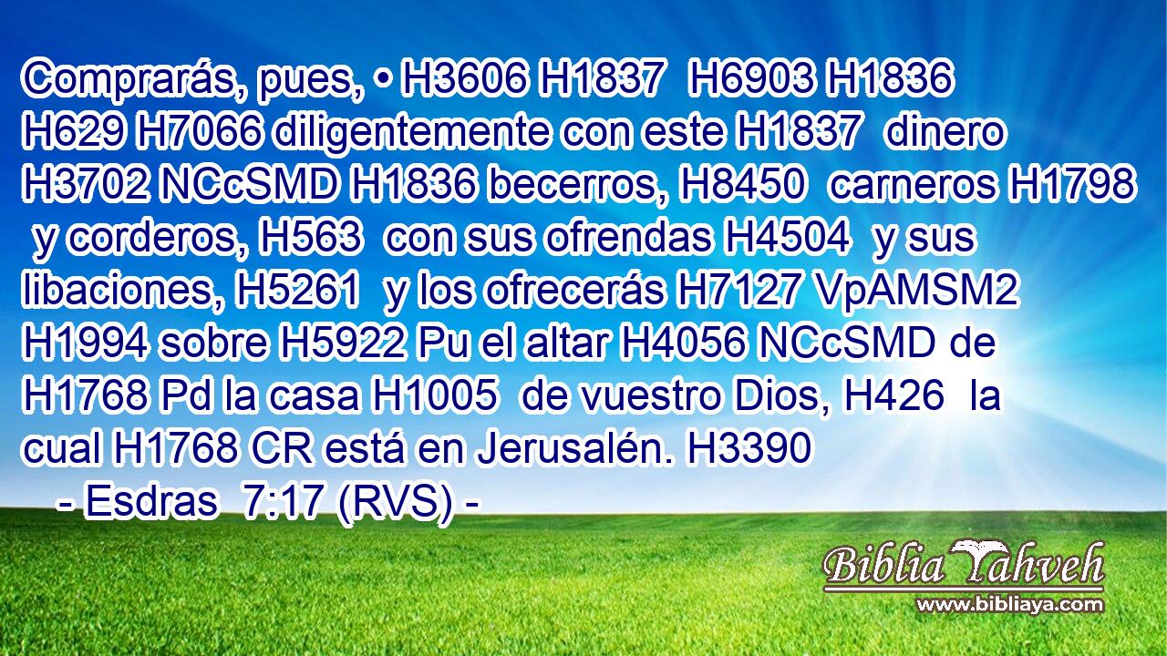 Comprarás, pues, • H3606 H1837  H6903 H1836 H629 H7066 diligentemente con este H1837  dinero H3702 NCcSMD H1836 becerros, H8450  carneros H1798  y corderos, H563  con sus ofrendas H4504  y sus libaciones, H5261  y los ofrecerás H7127 VpAMSM2 H1994 sobre H5922 Pu el altar H4056 NCcSMD de H1768 Pd la casa H1005  de vuestro Dios, H426  la cual H1768 CR está en Jerusalén. H3390  