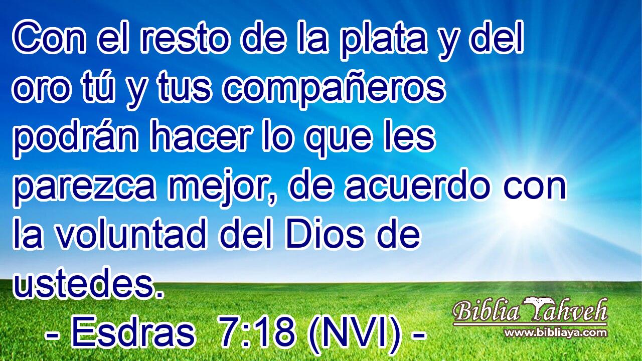  Con el resto de la plata y del oro tú y tus compañeros podrán hacer lo que les parezca mejor, de acuerdo con la voluntad del Dios de ustedes. 