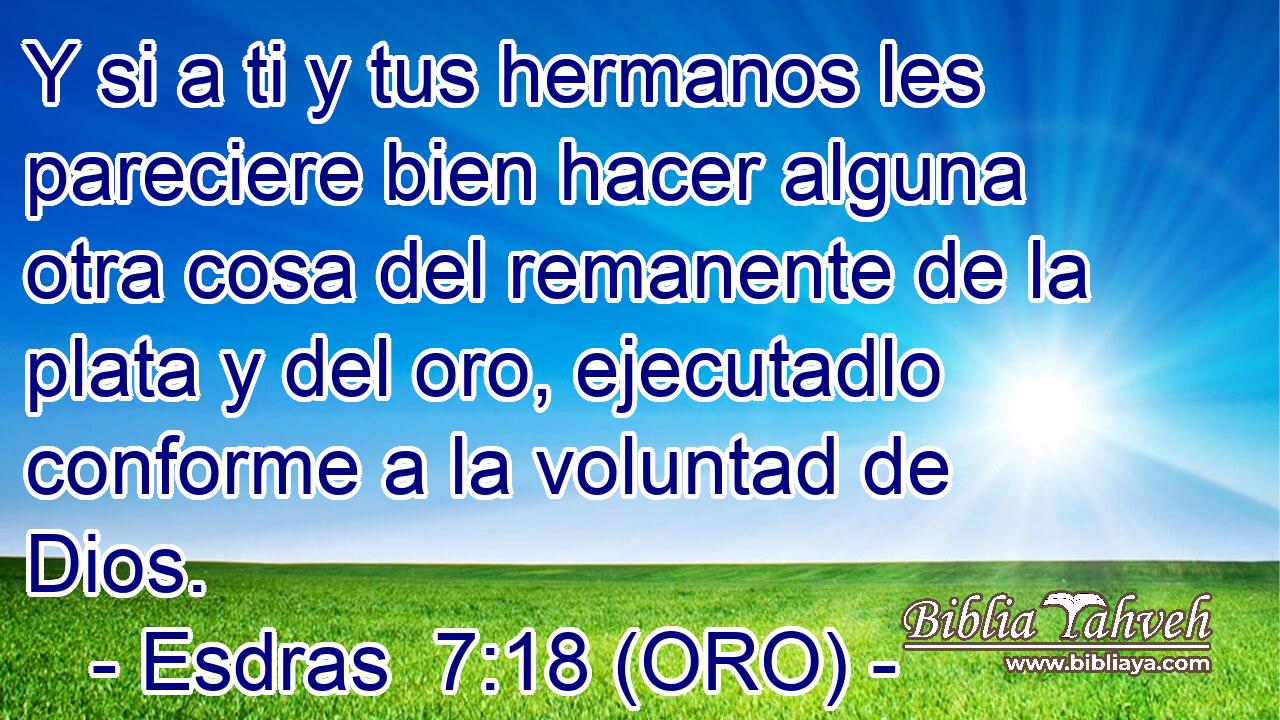  Y si a ti y tus hermanos les pareciere bien hacer alguna otra cosa del remanente de la plata y del oro, ejecutadlo conforme a la voluntad de Dios. 