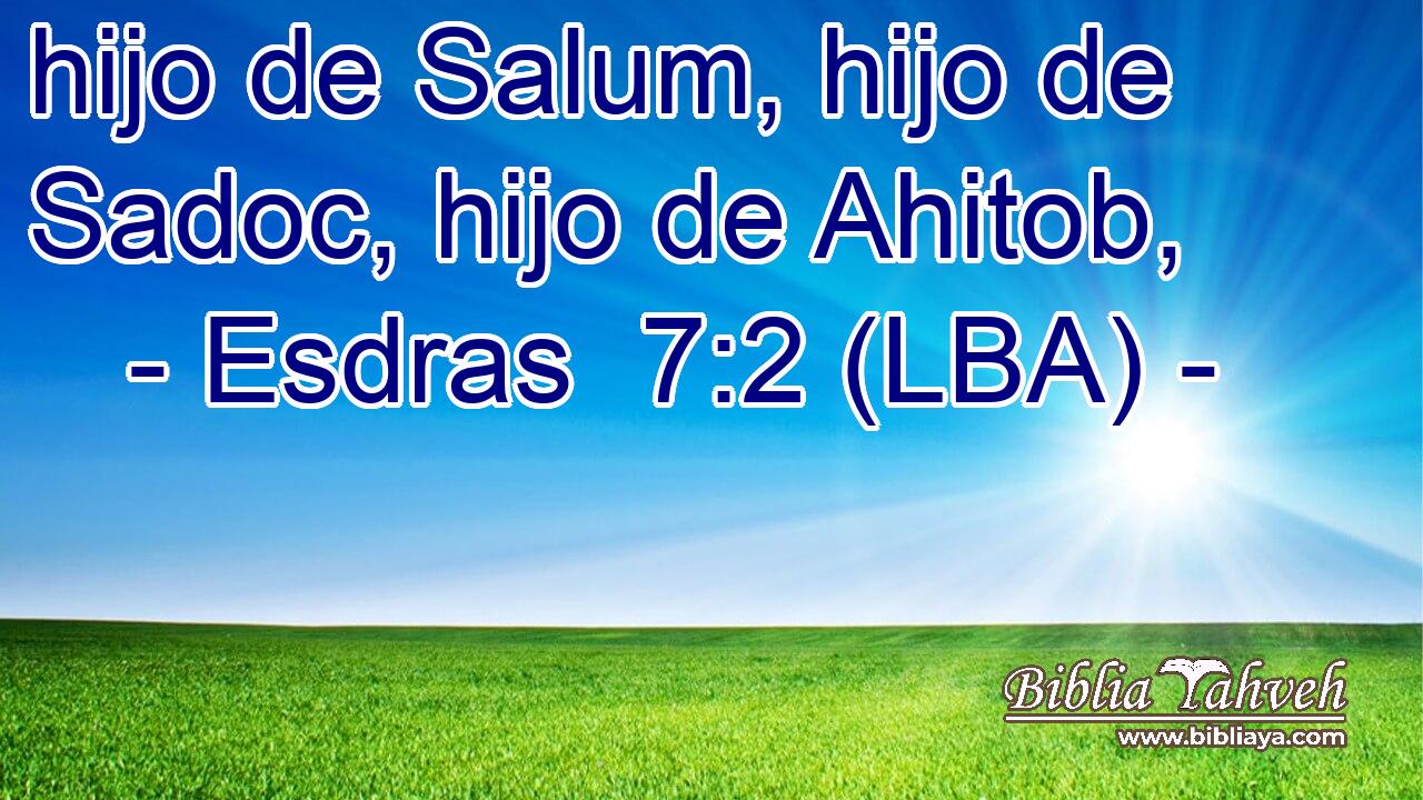 hijo de Salum, hijo de Sadoc, hijo de Ahitob,