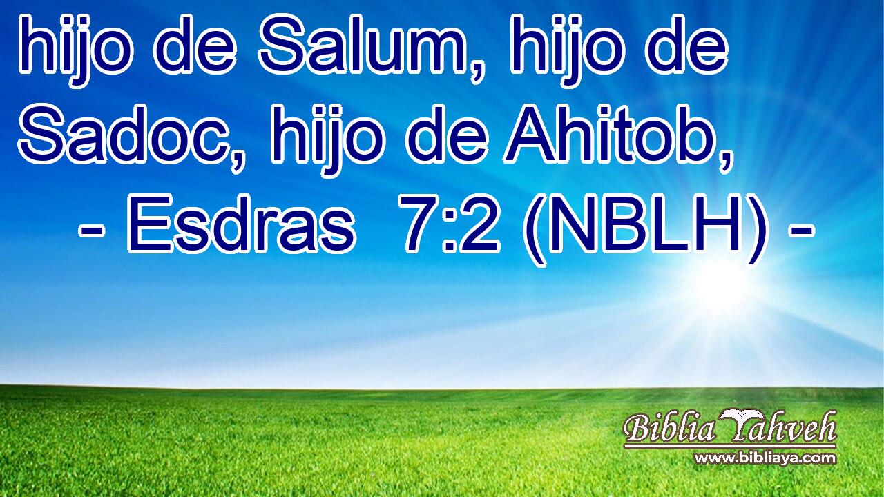  hijo de Salum, hijo de Sadoc, hijo de Ahitob, 