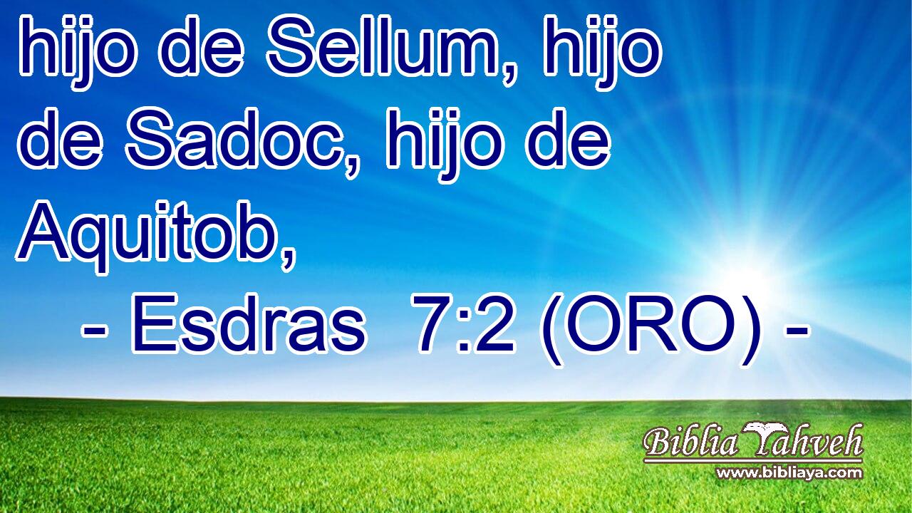  hijo de Sellum, hijo de Sadoc, hijo de Aquitob, 