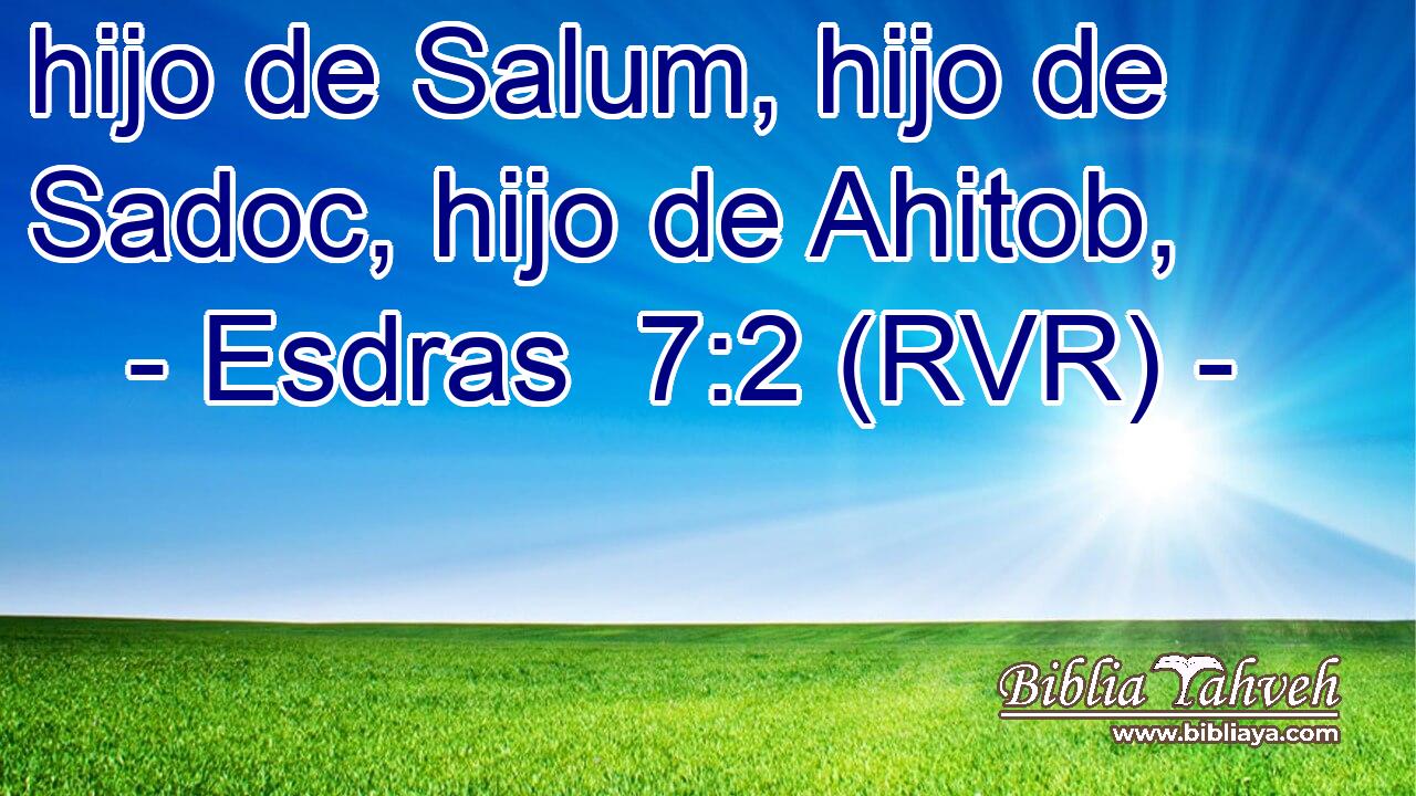 hijo de Salum, hijo de Sadoc, hijo de Ahitob,