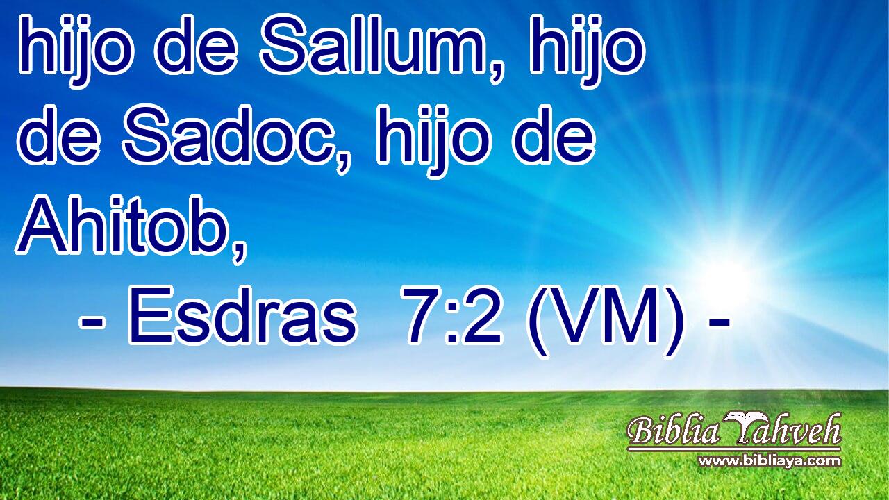  hijo de Sallum, hijo de Sadoc, hijo de Ahitob, 