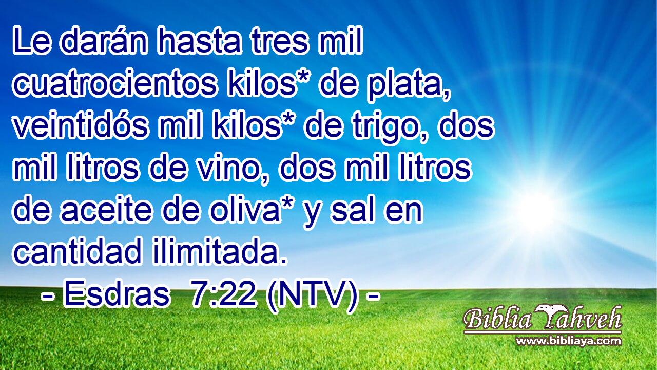 Le darán hasta tres mil cuatrocientos kilos* de plata, veintidós mil kilos* de trigo, dos mil litros de vino, dos mil litros de aceite de oliva* y sal en cantidad ilimitada.