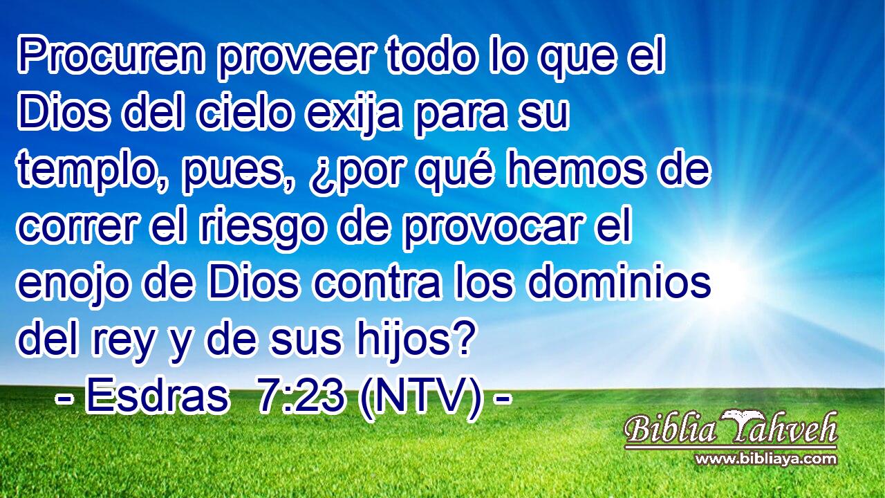 Procuren proveer todo lo que el Dios del cielo exija para su templo, pues, ¿por qué hemos de correr el riesgo de provocar el enojo de Dios contra los dominios del rey y de sus hijos?