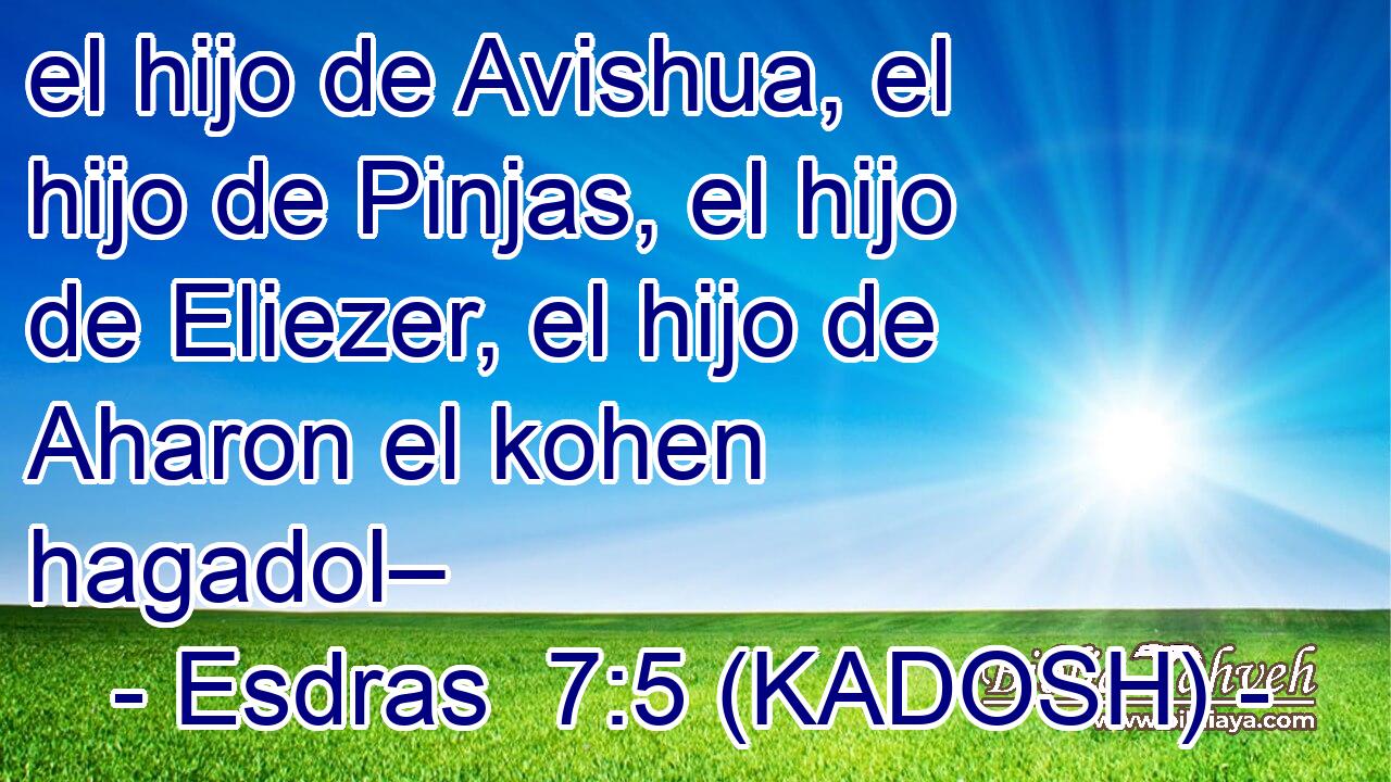  el hijo de Avishua, el hijo de Pinjas, el hijo de Eliezer, el hijo de Aharon el kohen hagadol– 