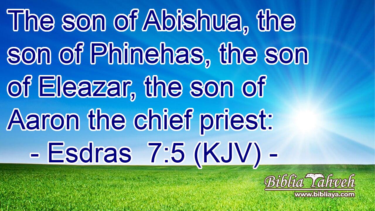 The son of Abishua, the son of Phinehas, the son of Eleazar, the son of Aaron the chief priest: