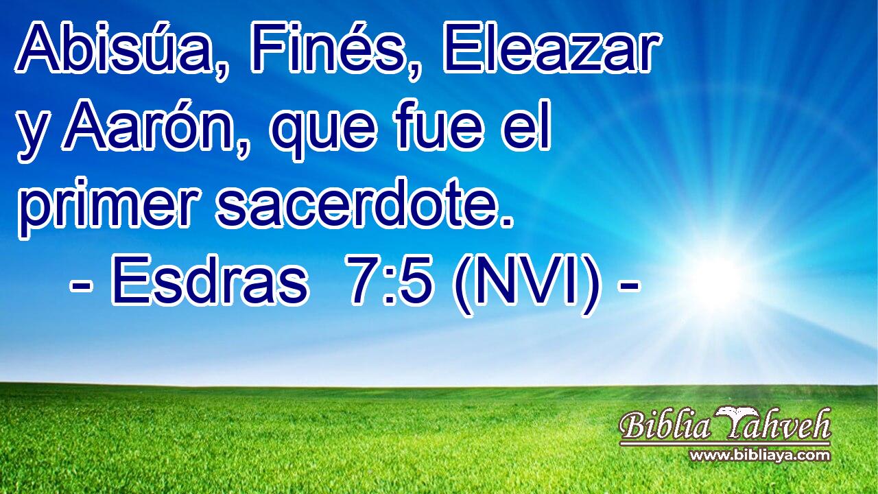 Abisúa, Finés, Eleazar y Aarón, que fue el primer sacerdote. 