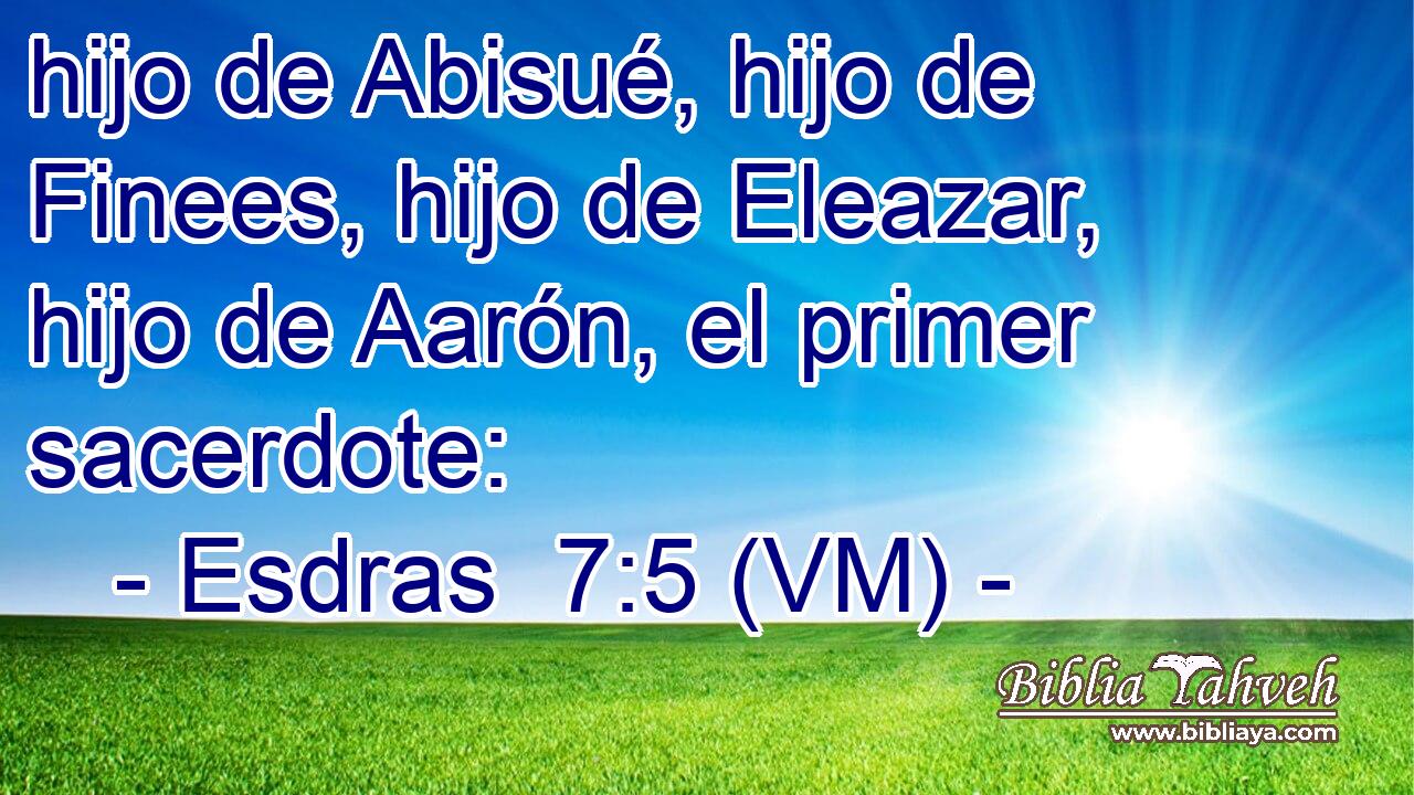  hijo de Abisué, hijo de Finees, hijo de Eleazar, hijo de Aarón, el primer sacerdote: 