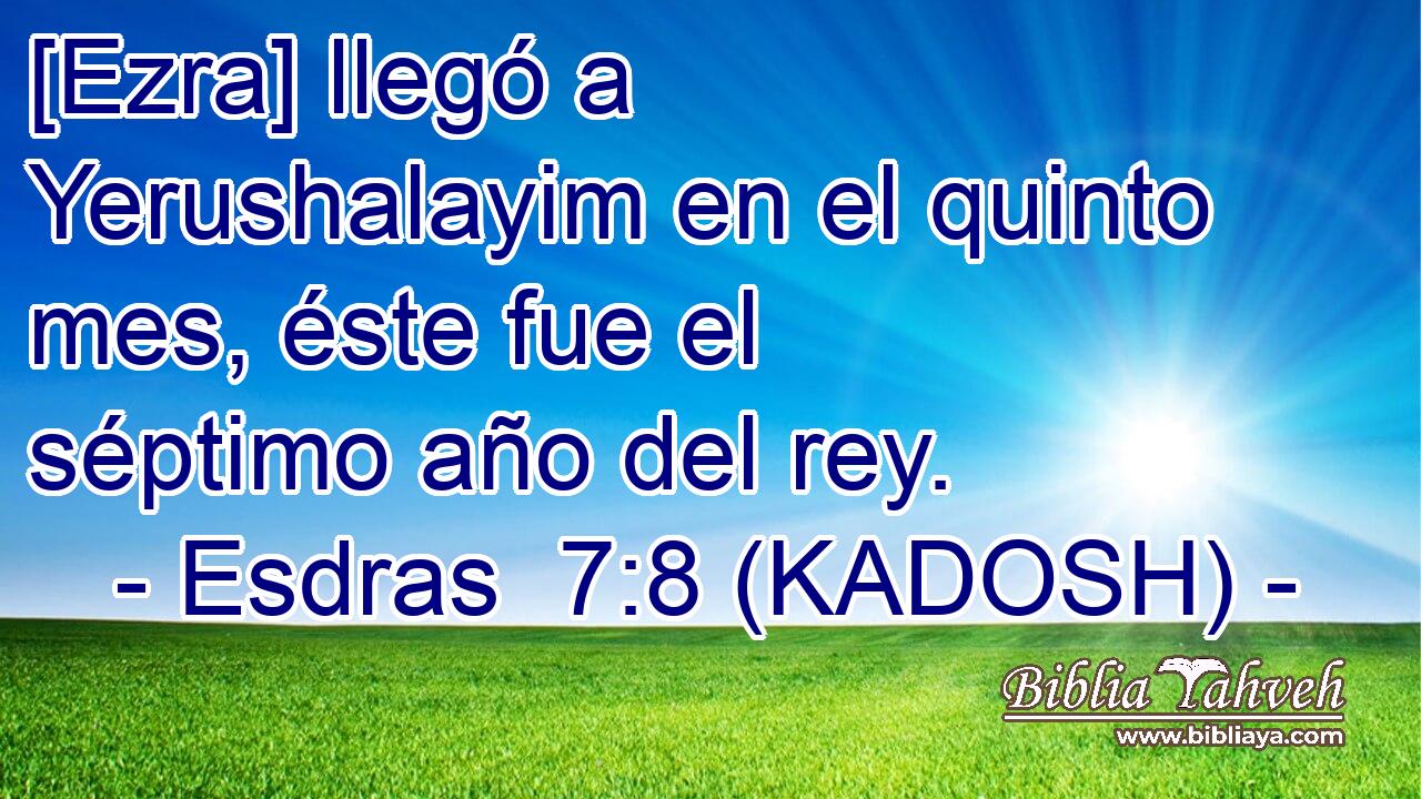  [Ezra] llegó a Yerushalayim en el quinto mes, éste fue el séptimo año del rey. 